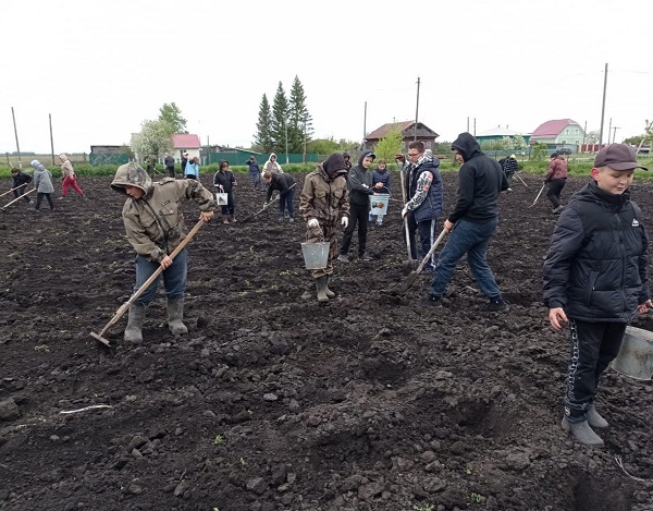 Работа на пришкольном участке.