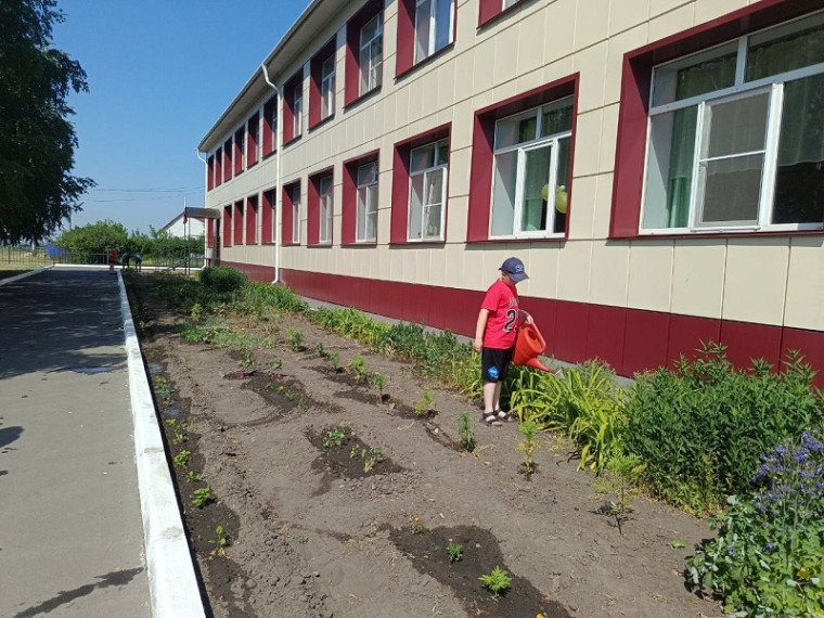 Работа "Юных аграриев".